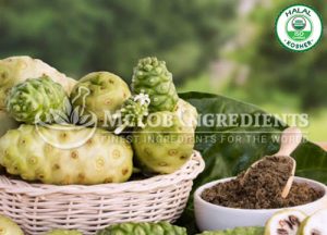 Noni Fruit Powder-Extract