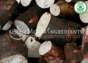 Arrowroot Powder-extract