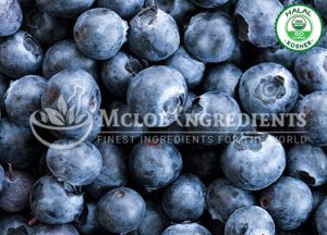 Blueberry Powder-Extract