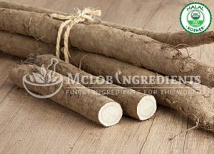 Burdock Root Powder-Extract