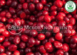 Cranberry Fruit Powder-Extract