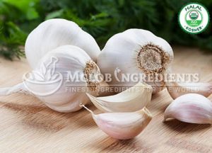 Garlic Powder-Extract