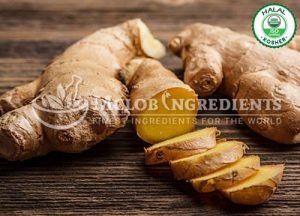 Ginger Powder-Extract