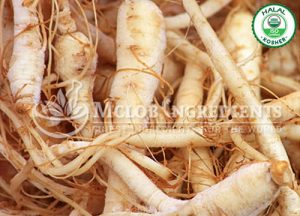 Ginseng Root Extract